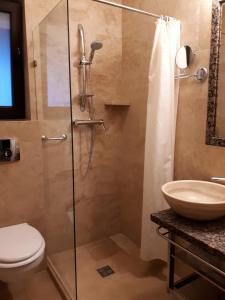 Koupelna v ubytování Transylvania Villa & Spa