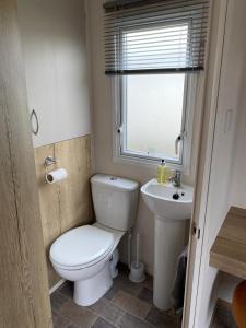 a small bathroom with a toilet and a sink at Caravan Porthcawl in Porthcawl