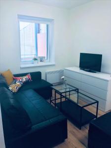 Телевізор і / або розважальний центр в Rezidence pod zámkem Mikulov - apartmán 205 B