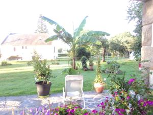 a white chair sitting in a yard with plants at maison aux volets bleus in Quévert