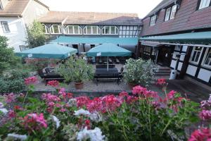 Afbeelding uit fotogalerij van Hotel Hammermühle in Stadtroda
