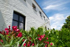 صورة لـ De Auw Sjoekelaatfabriek في غولبين