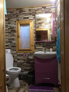 een badkamer met een wastafel en een toilet bij Casa de Vacanta Geoagiu de Sus in Geoagiu de Sus