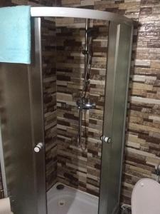 W łazience znajduje się prysznic ze szklanymi drzwiami. w obiekcie Casa de Vacanta Geoagiu de Sus w mieście Geoagiu de Sus