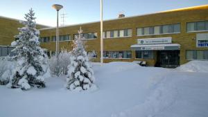 duas árvores cobertas de neve em frente a um edifício em Ruskalinna Apartments em Pello