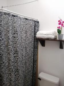 y baño con cortina de ducha y aseo. en Casa playa herradura #1, en Herradura