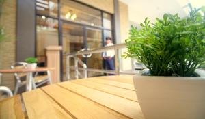 a wooden table with a potted plant on top of it at Anri Pension House in Cebu City