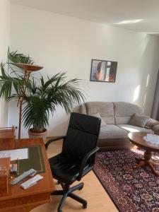 ein Wohnzimmer mit einem Sofa und einem Stuhl in der Unterkunft Altstadt Ferienwohnung in Wismar