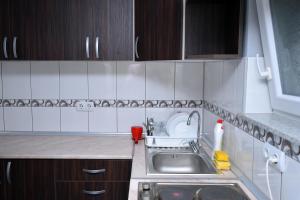 Kuchyň nebo kuchyňský kout v ubytování Apartman Stevanovic + 13 fotografií