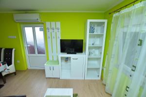 a living room with a tv and green walls at Apartman Stevanovic in Kladovo