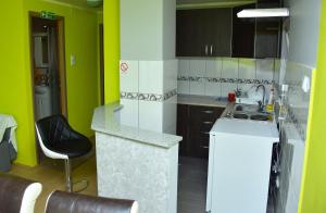 Kuchyň nebo kuchyňský kout v ubytování Apartman Stevanovic