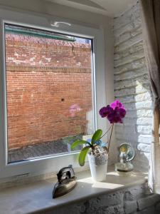 a flower in a vase sitting on a window sill at Brick Wall in Sibiu