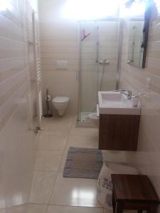 W łazience znajduje się umywalka, toaleta i prysznic. w obiekcie Appartamento Pompea w mieście Taviano