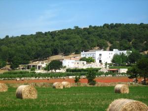 Paesaggio naturale nelle vicinanze dell'aparthotel