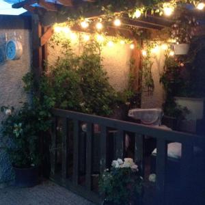 a patio with lights and plants and a fence at Midtown Farm Bed & Breakfast in Easton