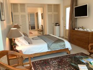 a bedroom with a bed and a television in it at Chambre à louer au coeur d'Arcachon in Arcachon