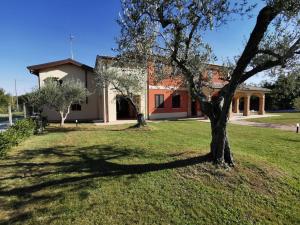 a house with a tree in the yard at La Casina di Ely in SantʼAndrea in Casale