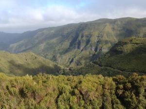 ポルト・モニスにあるPensão Fernandesの木々の山渓谷の空中風景