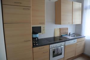 ベルリンにあるNice City Apartmentのキッチン(木製キャビネット、シンク、コンロ付)