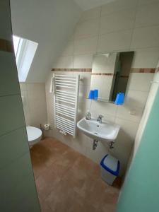 W łazience znajduje się umywalka, toaleta i lustro. w obiekcie Pension Glückauf w mieście Kurort Oberwiesenthal