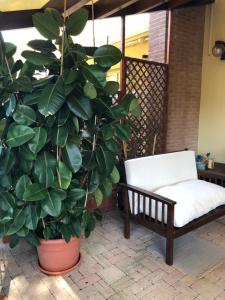 Zahrada ubytování Il Giardino