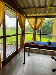 Ban Buak Khang的住宿－Viewdoi Art and Resort，带窗户的客房内的一张床位