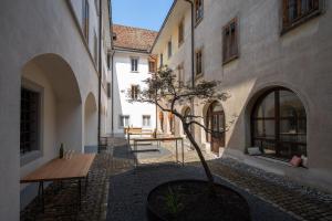 a small tree in a courtyard between two buildings at Culinarium Alpinum in Stans