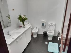 a white bathroom with a toilet and a sink at APART Alojamentos Para Turismo e Negocios in Braga