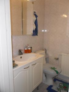 uma casa de banho com um lavatório e um WC em Apartment Sorsakoski em Sorsakoski