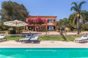 塞薩利內斯的住宿－Finca El Retiro，一个带椅子和遮阳伞的游泳池以及一间房屋