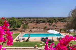 塞薩利內斯的住宿－Finca El Retiro，享有带遮阳伞的游泳池的景色