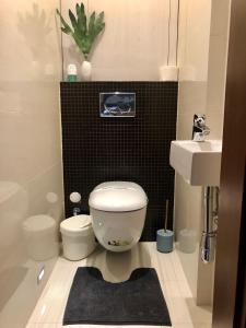 a small bathroom with a toilet and a sink at Apartmán SUZANNE in Banská Bystrica
