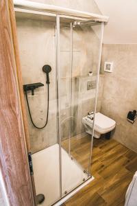 een douchecabine in een badkamer met een toilet bij Apartmán ZA-KA 2 ubytování Litovel in Červenka