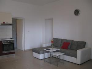 Kuchyň nebo kuchyňský kout v ubytování Apartmani Orhideja