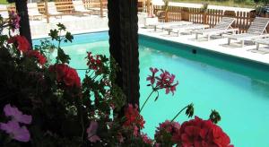 una piscina con sedie, fiori e alberi di Hotel Waldesruh a Göstling an der Ybbs