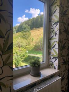 Zahrada ubytování Familienpension Obere Juchhe, Ferienwohnung und Zimmer
