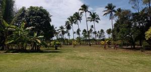 un parque con palmeras y un parque infantil en Cantinho da Paz, en Ilhéus