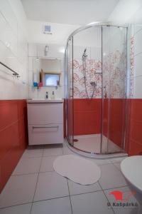a bathroom with a shower and a sink at Penzion U Kašpárků in Žehrov