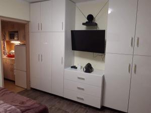 Televízia a/alebo spoločenská miestnosť v ubytovaní KR Apartman Siófok