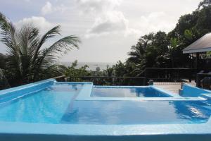 niebieski basen z drzewami w tle w obiekcie Stephna Residence w mieście Anse Boileau