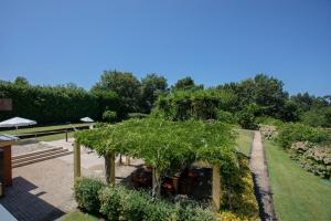 um jardim com uma árvore no meio dele em Liiiving in Caminha | Countryside Pool House em Caminha