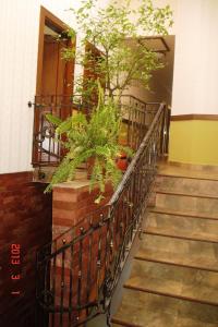 Fotografie z fotogalerie ubytování Hotel Stogu v destinaci Băile Olăneşti