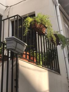Balkón alebo terasa v ubytovaní Guest house Regina Margherita