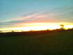 a sunset in a field with a tree in the distance at The Old Post Office B&B in Lymm