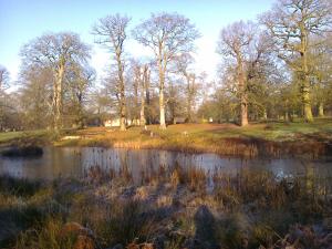 a pond in the middle of a field with trees at The Old Post Office B&B in Lymm