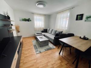 Televízia a/alebo spoločenská miestnosť v ubytovaní Luxuriöses und modernes Apartment zum Wohlfühlen