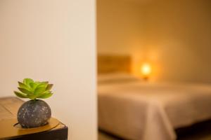 een plant op een tafel in een kamer met twee bedden bij Hotel Cesario in Calvi