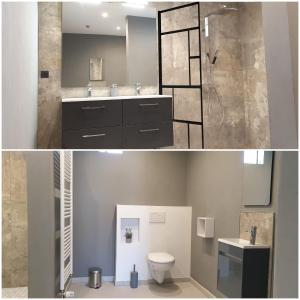 ein Bad mit einem WC, einem Waschbecken und einer Dusche in der Unterkunft Gîte des Vosges du Sud in Ronchamp