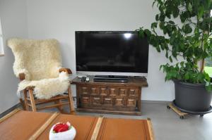 Телевизор и/или развлекательный центр в La Ruche
