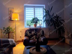 - un salon avec une chaise et une fenêtre dans l'établissement Ferienwohnung Rogowski, à Breitenbrunn/Erzgeb.